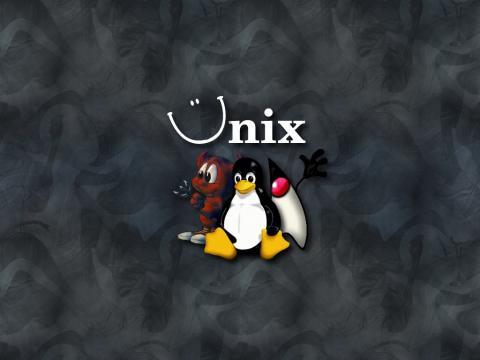 unix os cast